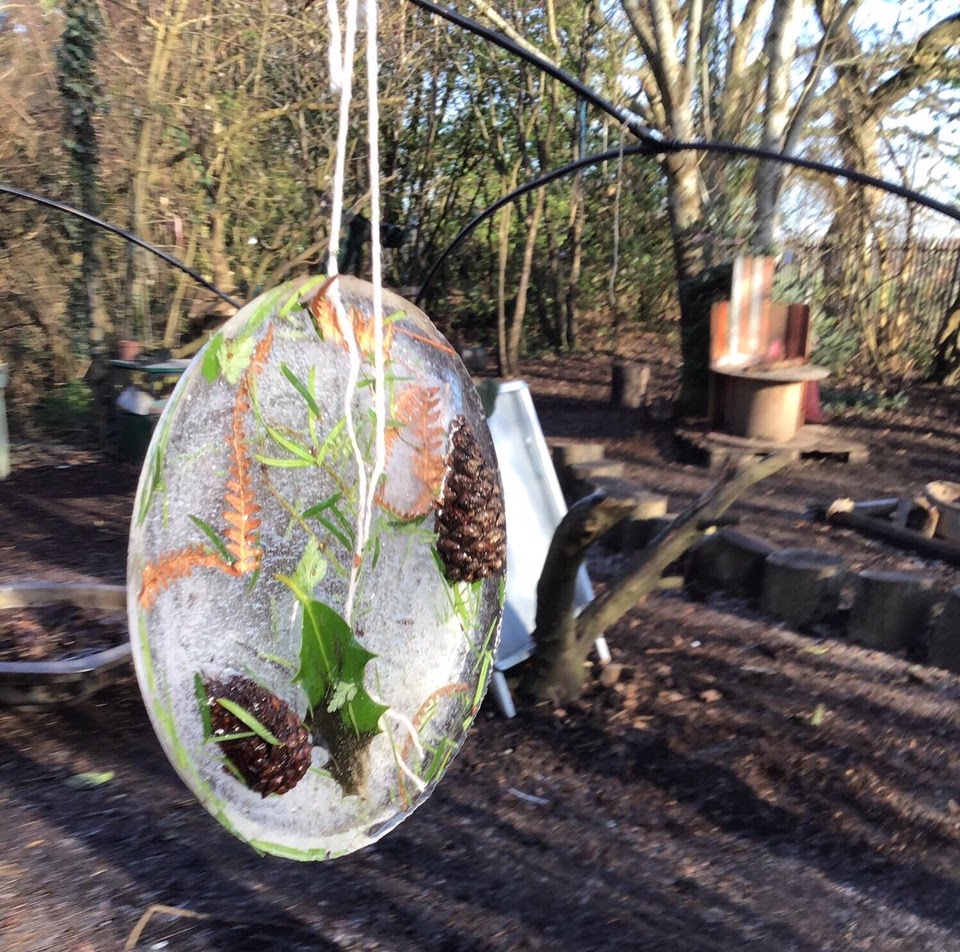 A ornament of natural objects frozen in ice, hung from a branch outside
