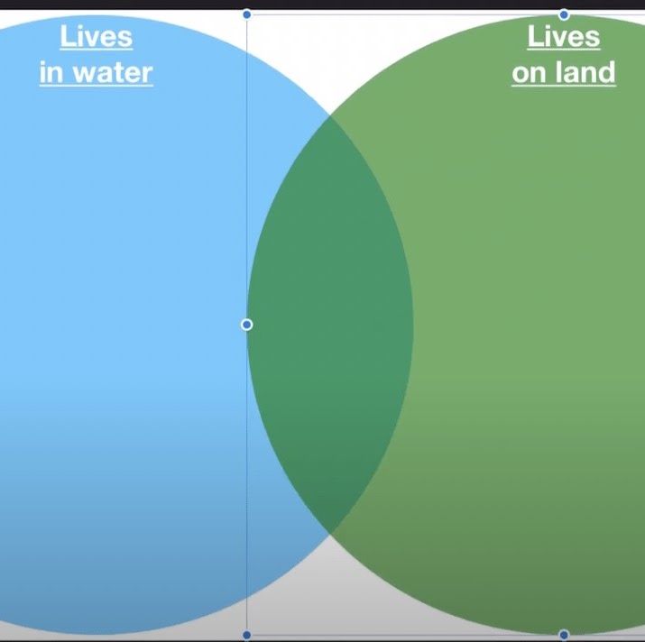 A venn diagram