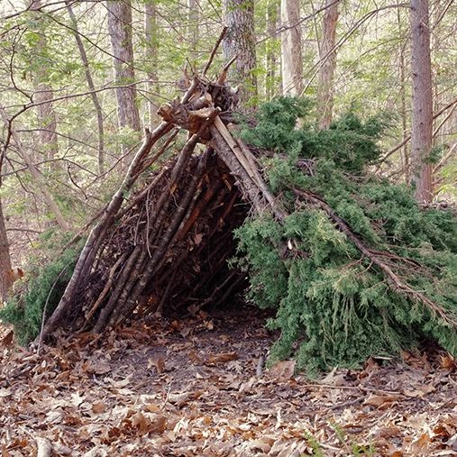 A shelter made from branches