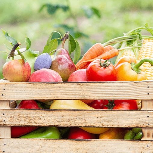 A crate filled with fruits and vegetables