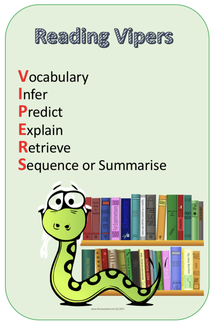 Reading Vipers image