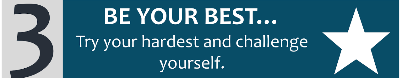 3. Be your best, try your hardest and challenge yourself.